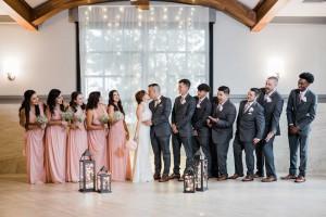 photo of the full wedding party